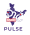 pluse logo